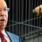 WEF Wants To Slaughter Millions of Pet Cats and Dogs To Fight Climate Change