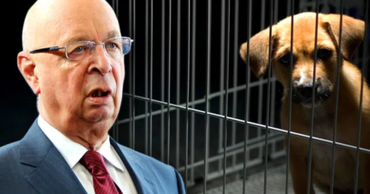WEF Wants To Slaughter Millions of Pet Cats and Dogs To Fight Climate Change