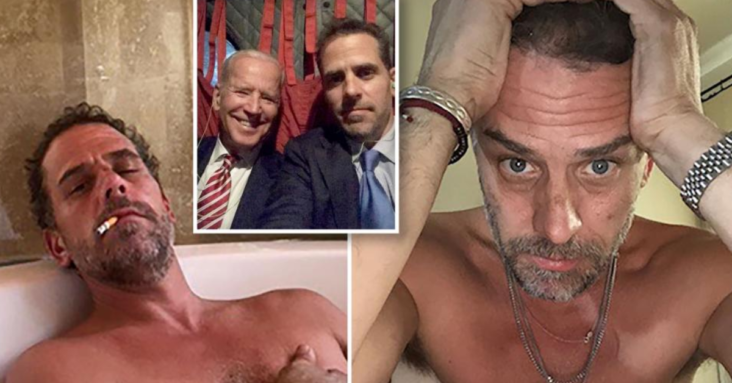 Hunter Biden finally admits infamous laptop is his as he pleads for criminal probe