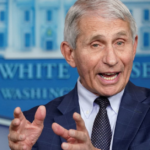 Part 11: The Database Dr. Anthony Fauci Doesn't Want You to Know About
