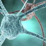 Report 57: 542 Neurological Adverse Events, 95% Serious, in First 90 Days of Pfizer mRNA Vaccine Rollout. 16 Deaths. Females Suffered AEs More Than Twice As Often As Males.