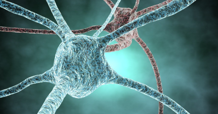 Report 57: 542 Neurological Adverse Events, 95% Serious, in First 90 Days of Pfizer mRNA Vaccine Rollout. 16 Deaths. Females Suffered AEs More Than Twice As Often As Males.