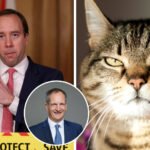 Government considered killing all Britain's pet CATS at the start of the Covid pandemic because they feared they were spreading virus, claims former health minister
