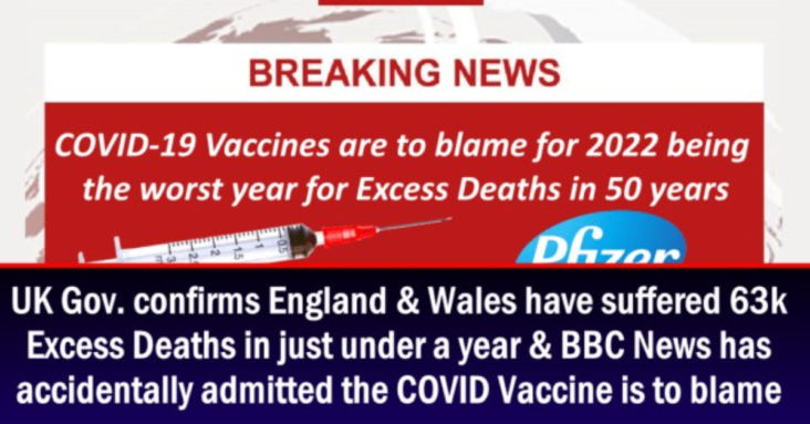 UK Gov. confirms England & Wales have suffered 63k Excess Deaths in just under a year & BBC News has accidentally admitted the COVID Vaccine is to blame