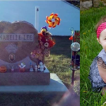 Annabelle Lee died 10 hours after receiving the MMR, DTaP, varicella and half of a Flu shot.