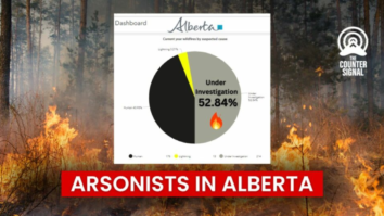 STATE OF EMERGENCY: Arson suspected in multiple Alberta wildfires