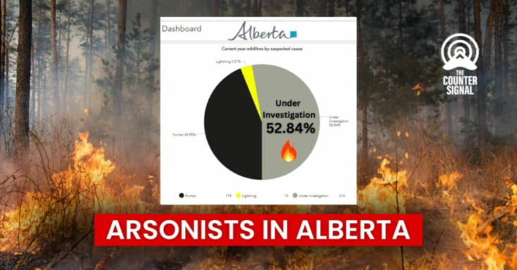 STATE OF EMERGENCY: Arson suspected in multiple Alberta wildfires