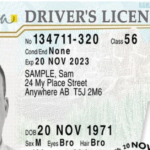 Data sharing deal between Alberta and Statistics Canada remains elusive after 7 years