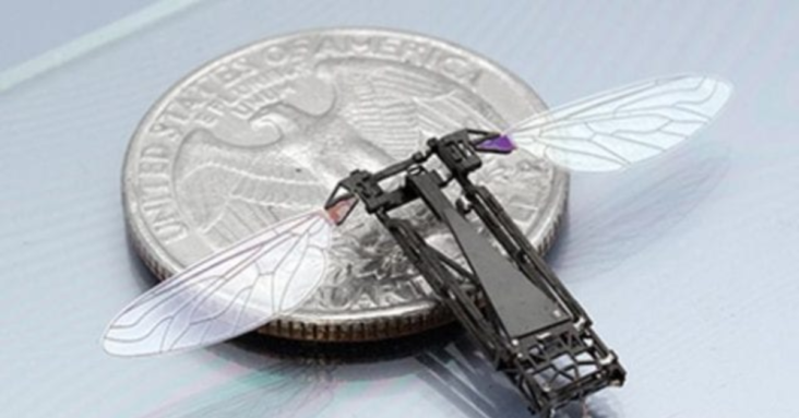 Insect Size Spy Drones Unveiled