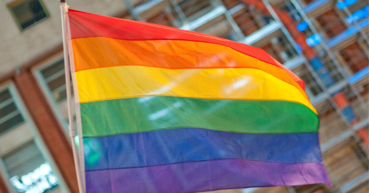 Muslim City Council Discharges Two Officials for Violating Anti-Pride Flag Ordinance