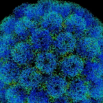 SV40 DNA Found In Pfizer Covid Shots Proven To Cause Cancer