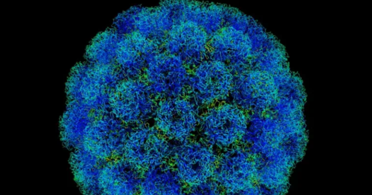 SV40 DNA Found In Pfizer Covid Shots Proven To Cause Cancer