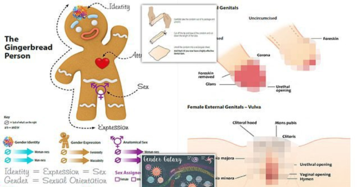 EXCLUSIVE - Fury at 'soft porn' teaching material that tells school children how to perform sex acts - forcing council to withdraw shocking materials amid backlash