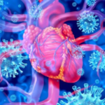 Covid Vaccines Damage All Hearts, Study Finds