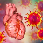 Covid Vaccines Damage All Hearts, Study Finds