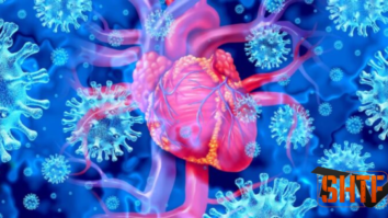 Covid Vaccines Damage All Hearts, Study Finds