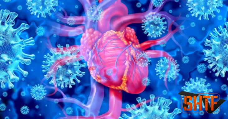 Covid Vaccines Damage All Hearts, Study Finds