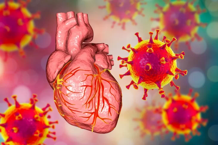 Covid Vaccines Damage All Hearts, Study Finds