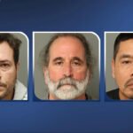 child sex predator sting operation