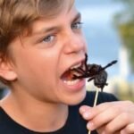 Food Producers Caught Quietly, Deceitfully Pumping Insects Into Children’s Food