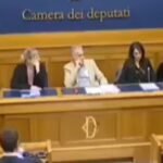 Italian conference on Corvelva's findings. it's pretty disgusting and disturbing. These vaccines are VERY contaminated.