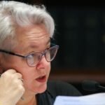 NSW Environment Minister Penny Sharpe doubles down on plan to cull brumby numbers through aerial shooting