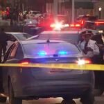 ‘I did it on purpose’: Wrong-way driver jailed after NYPD cop struck