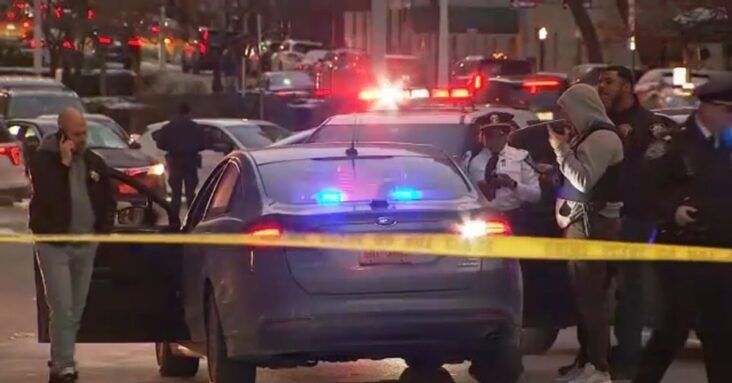 ‘I did it on purpose’: Wrong-way driver jailed after NYPD cop struck