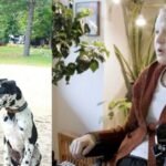 Canadian Doctors Admit Covid ‘Booster’ Shot Paralyzed Woman, Offer to Euthanize Her to ‘Make Up for It’