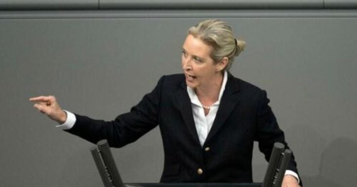 German Govt's Witch-Hunt Against AfD Paves Way To Dictatorship