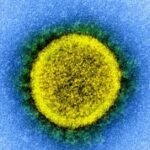 Info request yields no documents on how Saskatchewan defined COVID-19 deaths