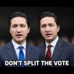 Pierre Poilievre calls for immediate election