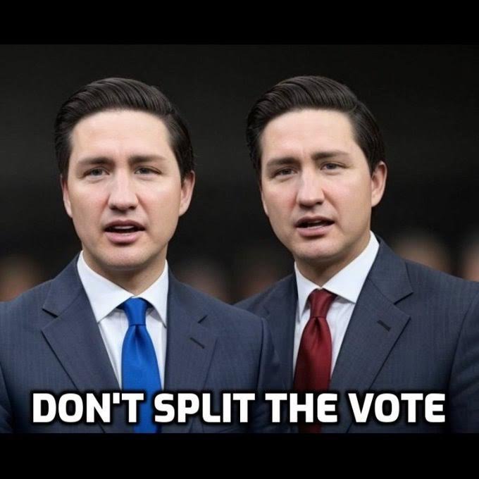 Pierre Poilievre calls for immediate election