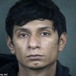 This is an animal that should be put down.