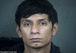 This is an animal that should be put down.