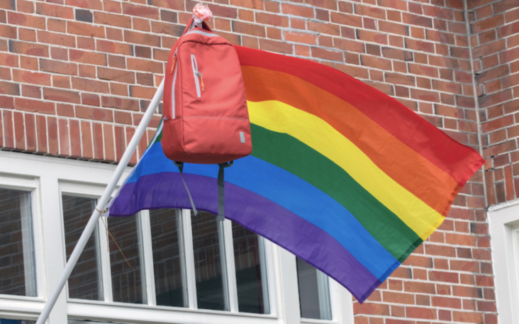 California judge affirms ban on critical race theory, parental notification for gender confusion