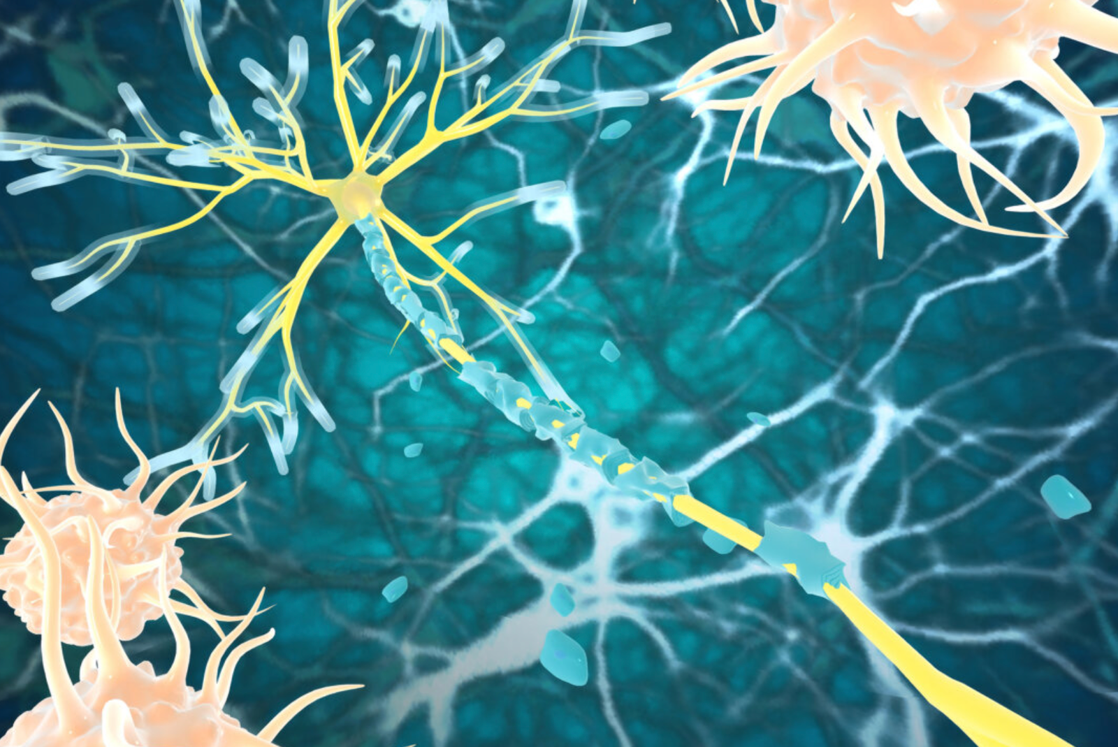 CDC officials are investigating a potential link between two recently approved RSV vaccines and increased reports of Guillain-Barré syndrome in adults over 60.