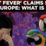 Parrot fever has killed 5 people in Europe. Should Canadians be worried?