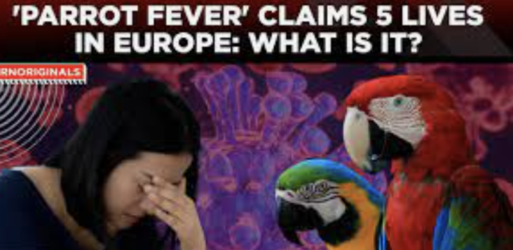 Parrot fever has killed 5 people in Europe. Should Canadians be worried?
