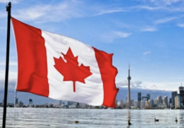 Life-Altering Mutilating Surgery Consultation Within Minutes at Canadian Clinic