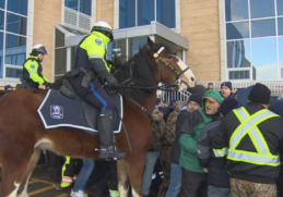 Armed with injunction against harvesters, Furey hopes to push delayed budget forward