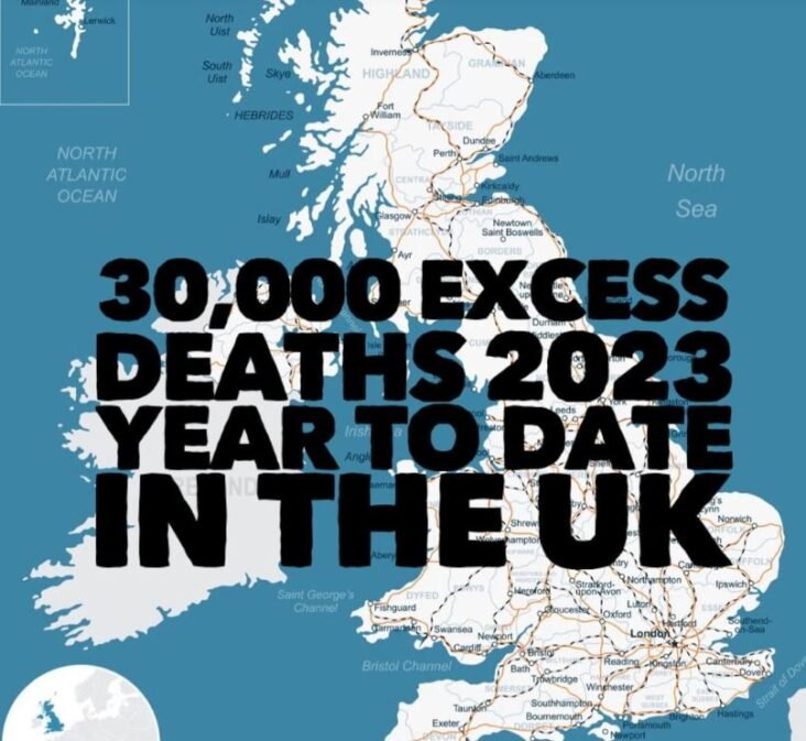 Opinion: Here is some News that has facts and figures to it. The all cause mortality is through the roof in all countries that participated the COVID 19 Experimental mRNA jabs. SHTF.tv