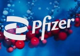 Opinion: The wall is cracking and now the dogs will come out and eat their own. But none of these criminals will ever spend a second behind bars, yes even when it's a Crimes Against Humanity charge. SHTF.tv