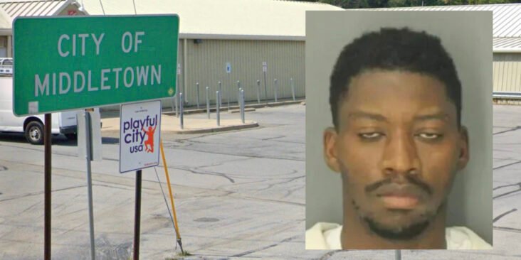 Haitian illegal immigrant stabs his roommates right before deportation hearing in New York