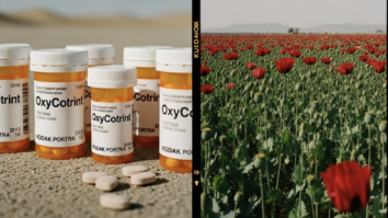 OxyContin and the Afghanistan War: Two Fronts of the Same Addiction Economy